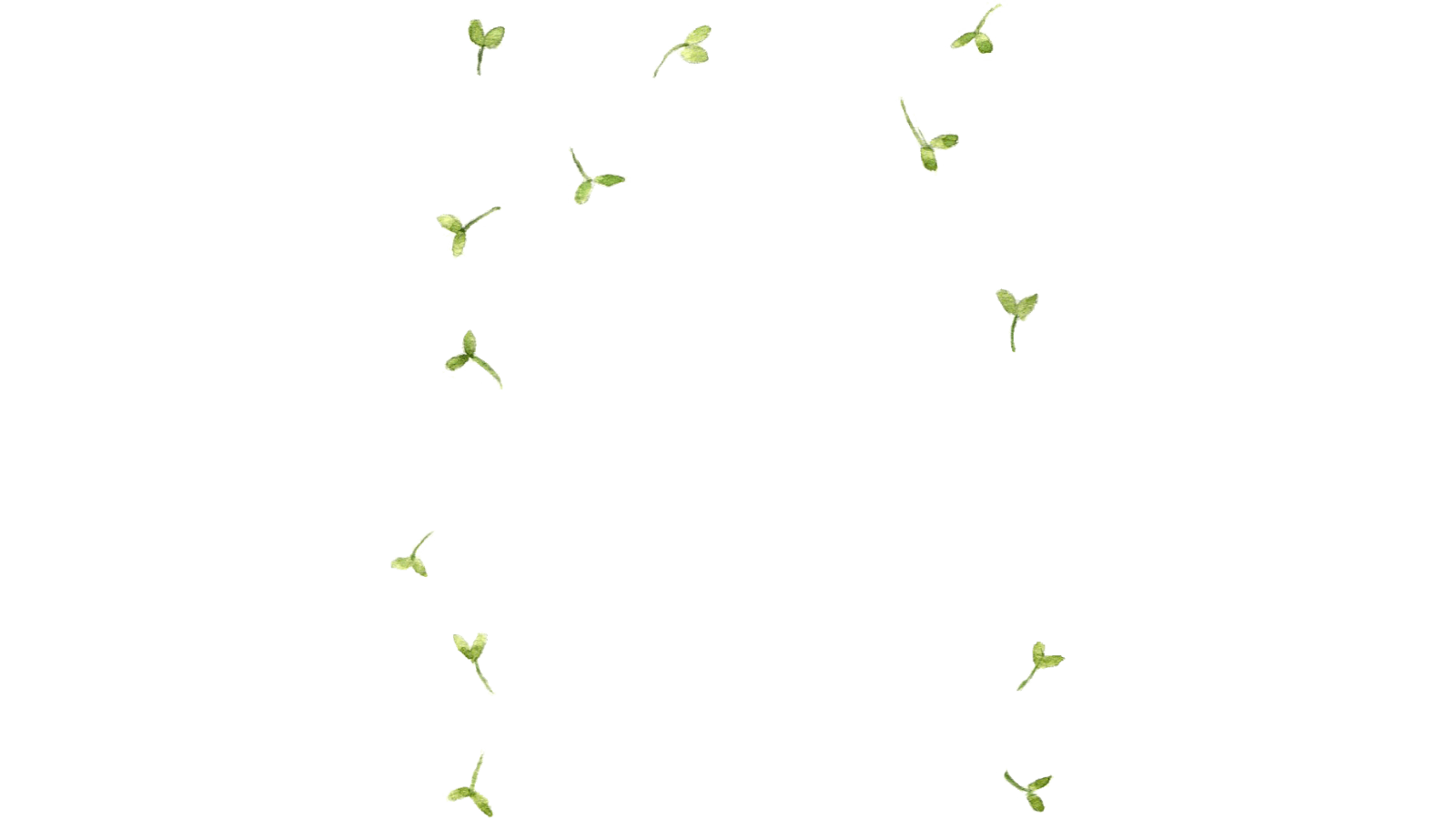 6 (1)