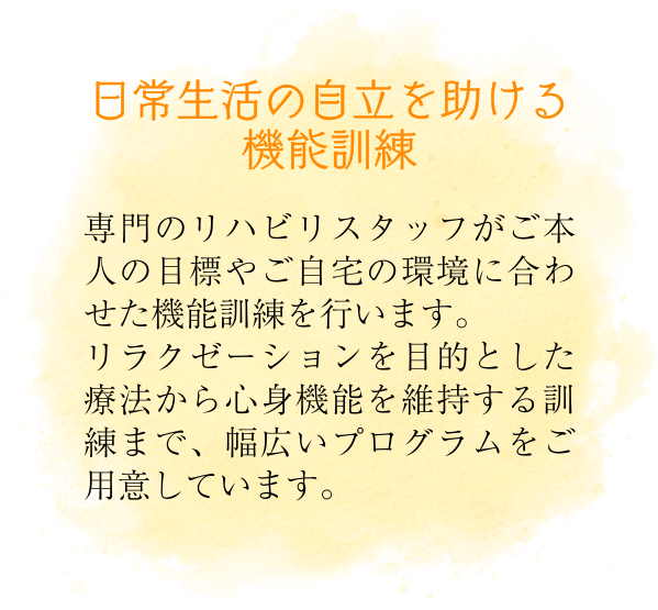 セラヴィ-3