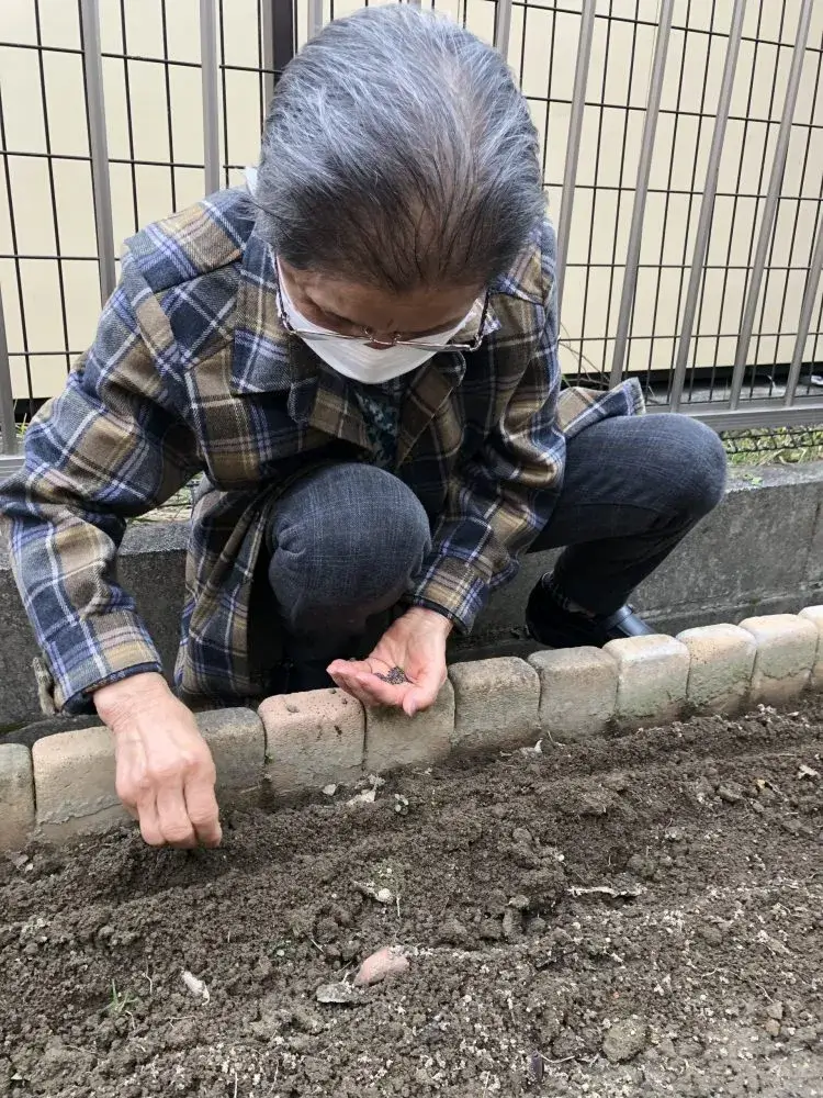 セラヴィ